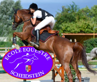 ecole equestre du scheidstein 67400 illkirch-graffenstaden eschau plobsheim strasbourg